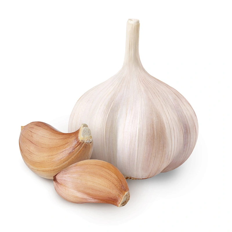 Garlic Extract
