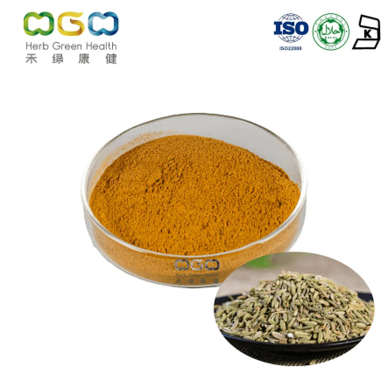 Fennel Powder