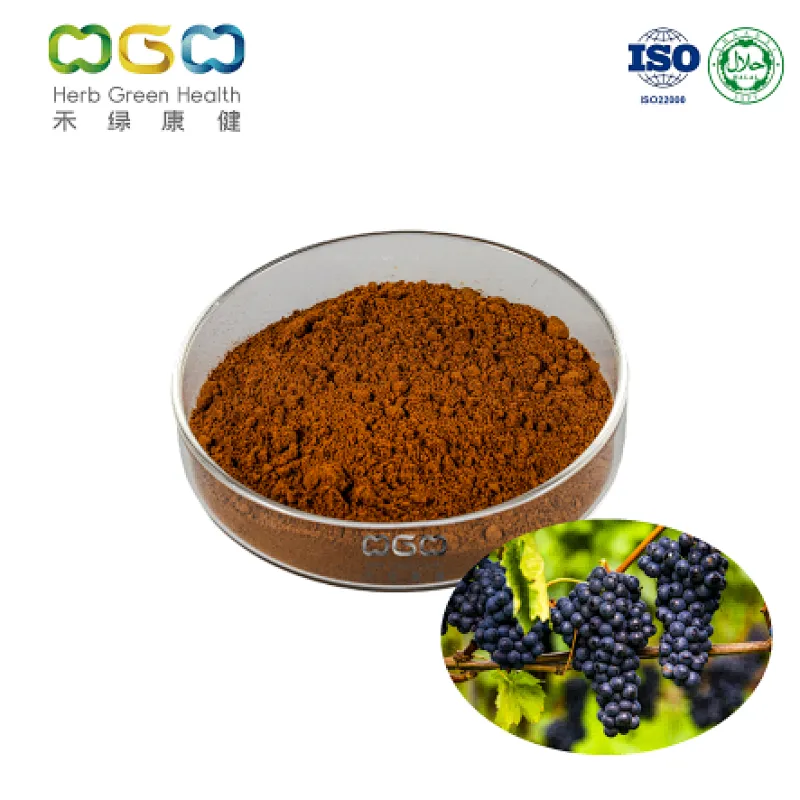 Grape Seed Extract