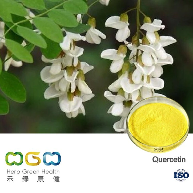 Quercetin , Herb Green Health Biotech Co., Ltd