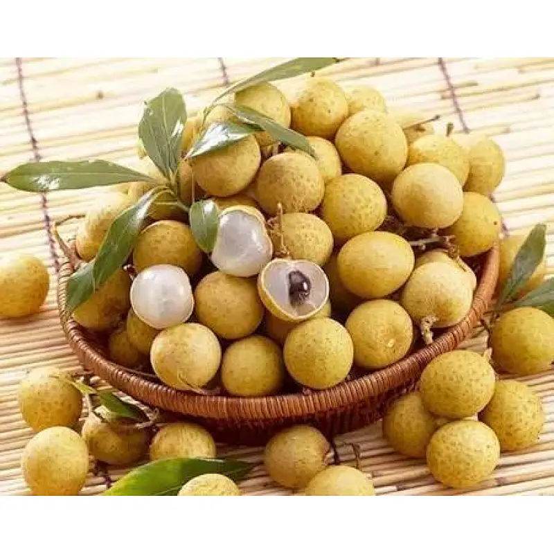 Longan Pulp Extract