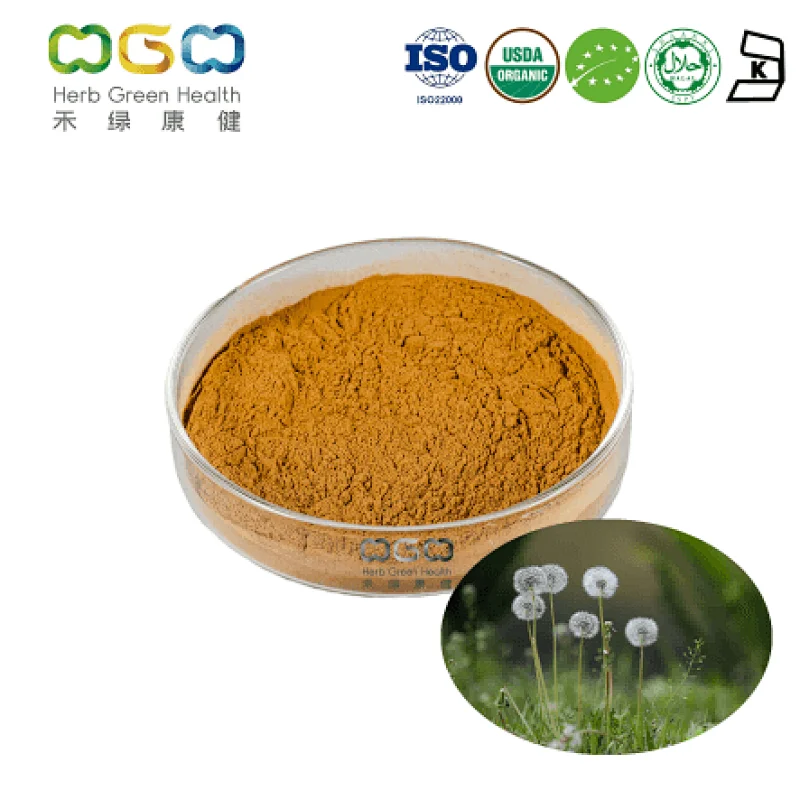 Mongolian Dandelion Herb Extract