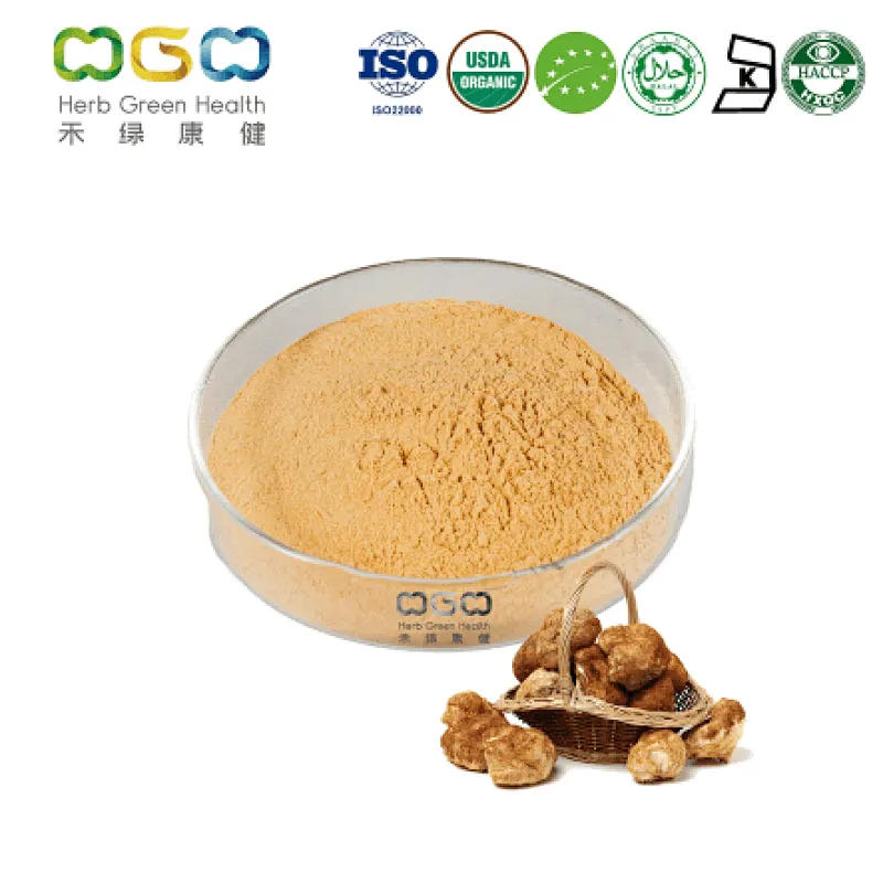 Organic Lions Mane Mushroom Extract