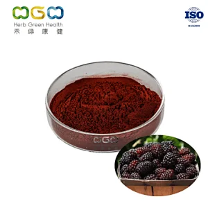 Boysenberry SD Powder