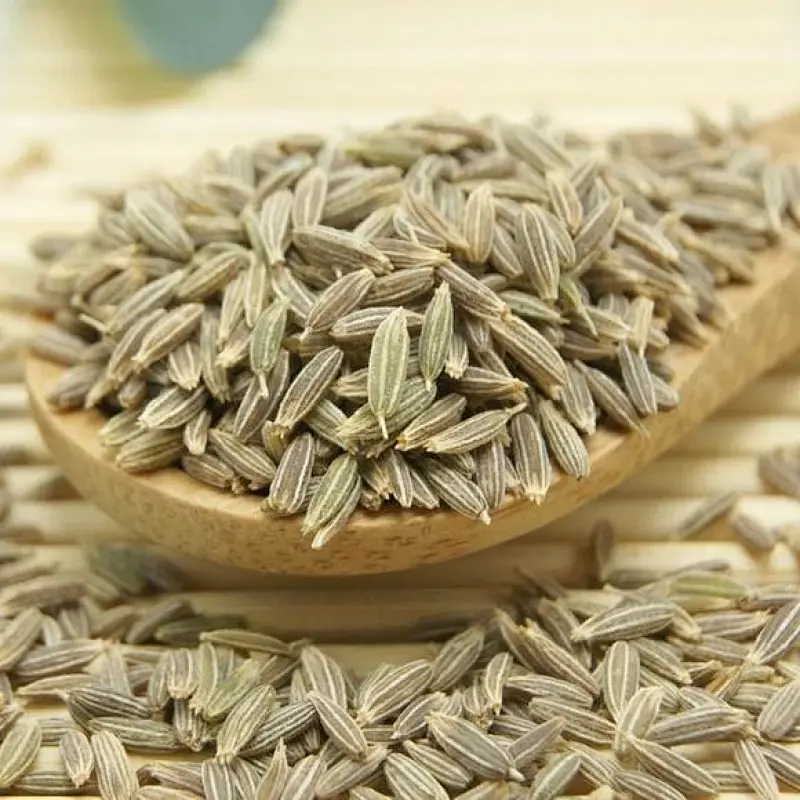 Cumin Powder