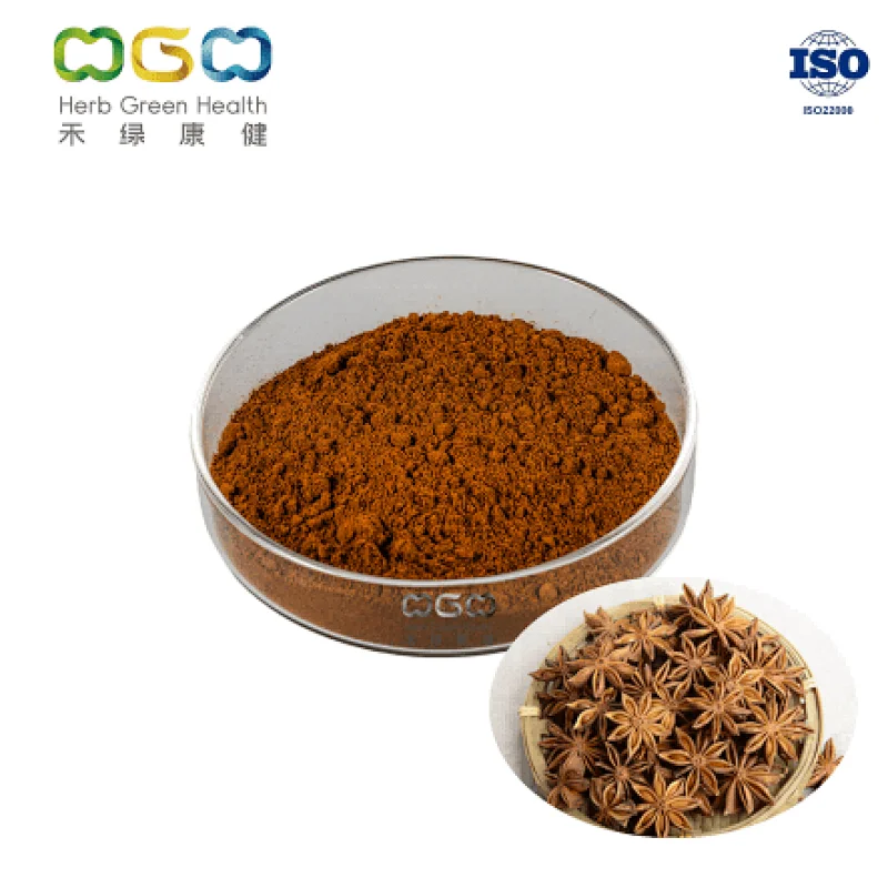 Star Anise Powder