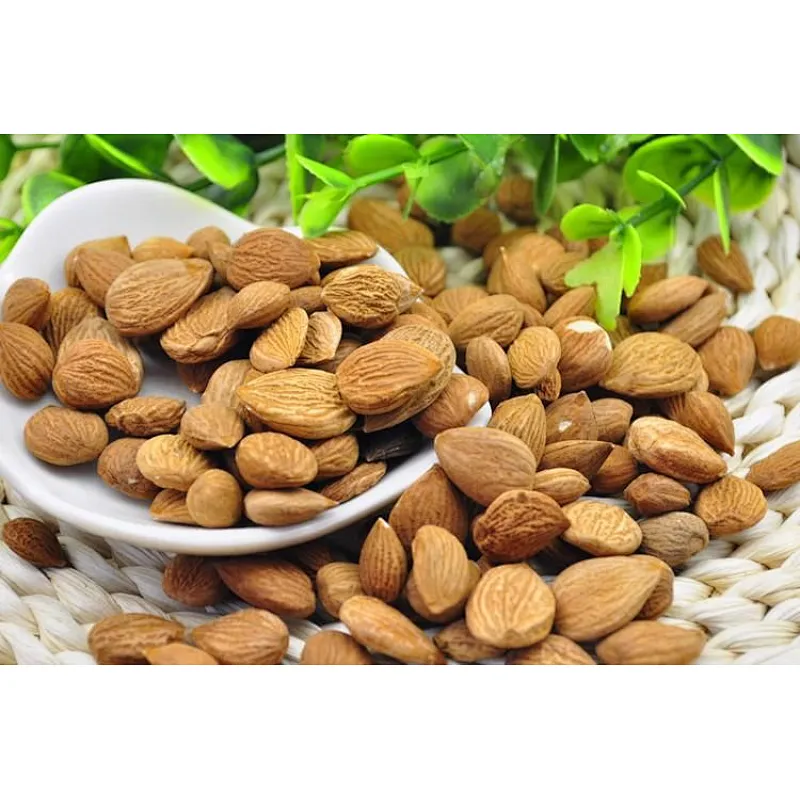 Bitter Apricot Seed Extract