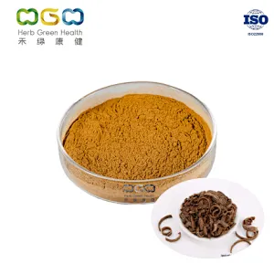 Magnolia Bark Extract