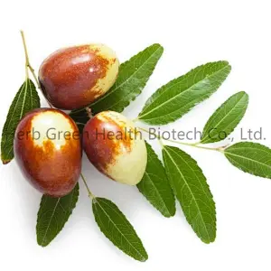 Jujubae Fructus Extract