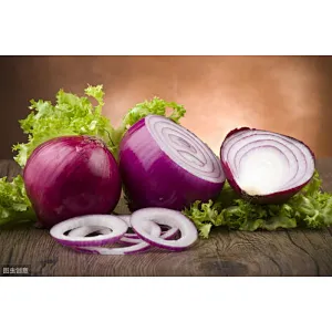 Onion Extract