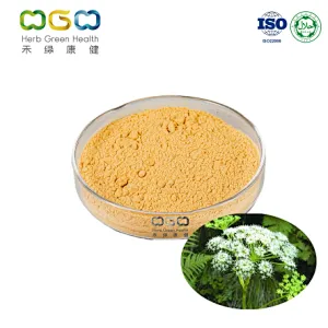 Angelica Extract