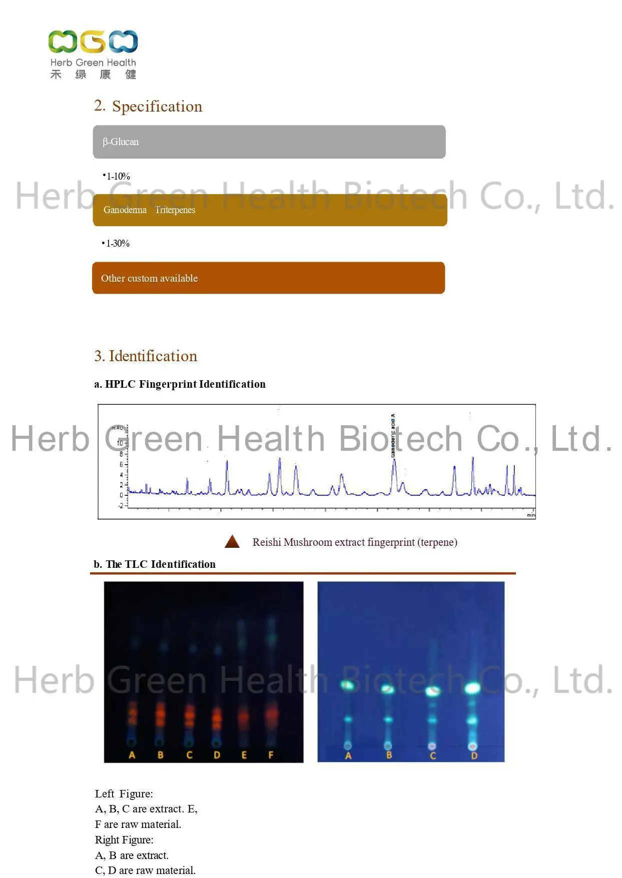 Reishi Mushroom Extract
