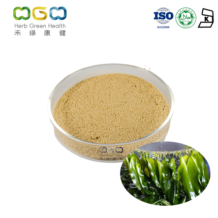 marine health food industry