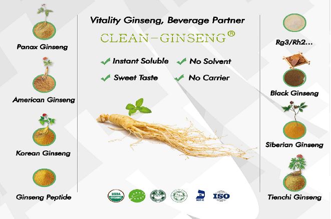 ginseng leaf extract