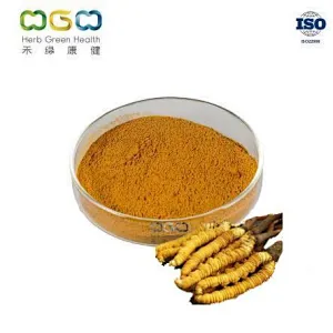 Cordyceps Cephalosporium mycelia