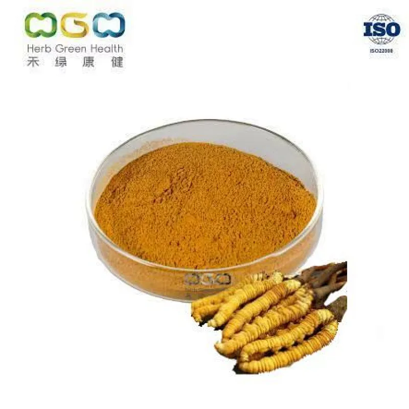 Mycelia