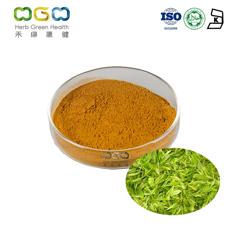Instant Hojicha Tea Powder