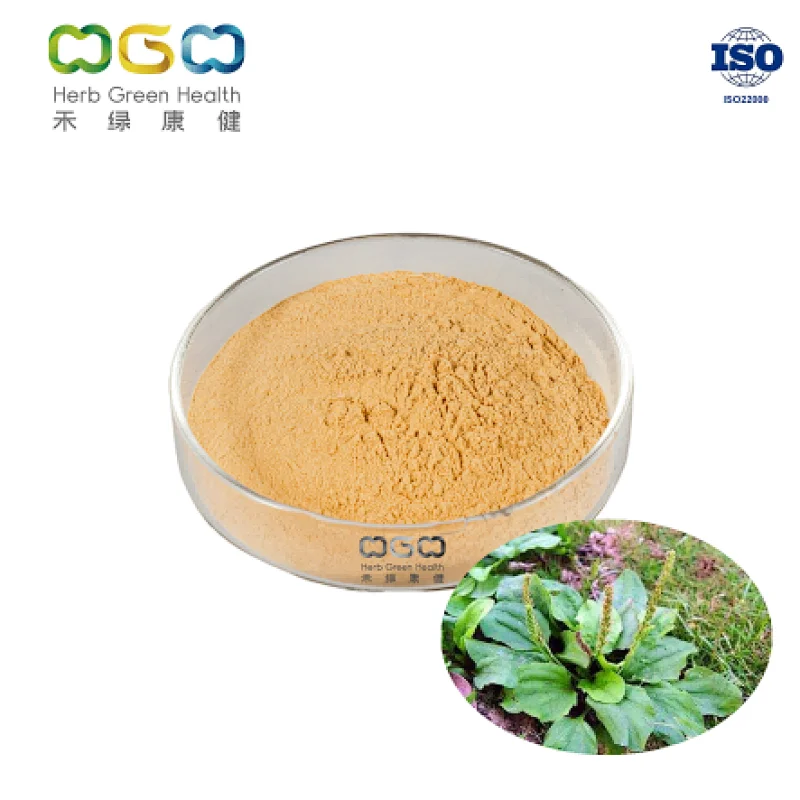 Semen Plantaginis Extract