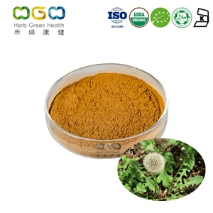 Organic Mongolian Dandelion Herb Extract