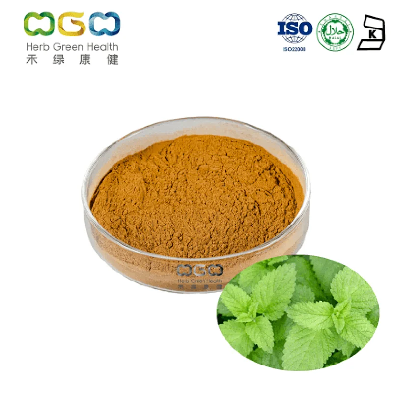European Nettle ExtractEuropean Nettle ExtractEuropean Nettle Extract