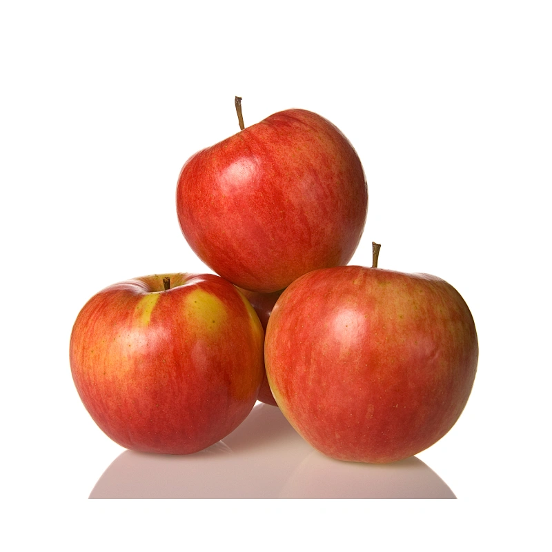 Organic Apple Cider Vinegar Extract