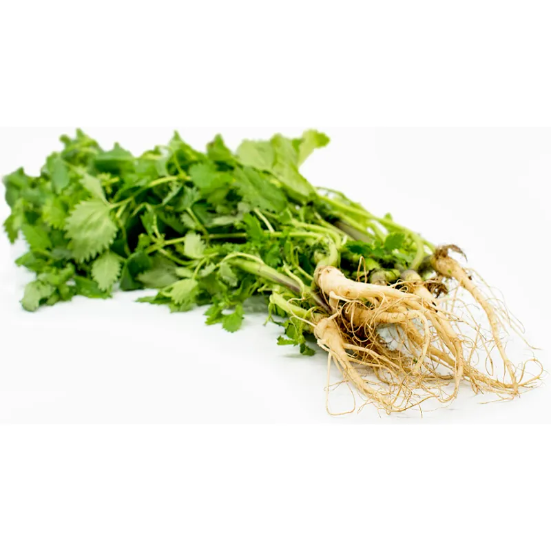 Nettle Root Powder