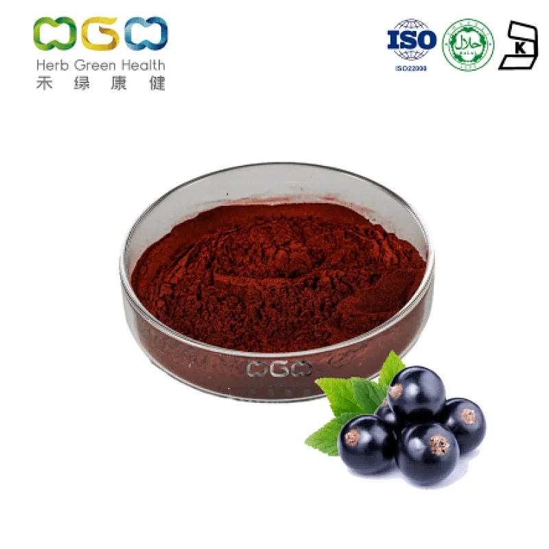 Black Currant SD Powder