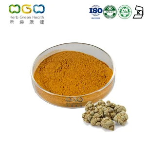 Panax Notoginseng Extract