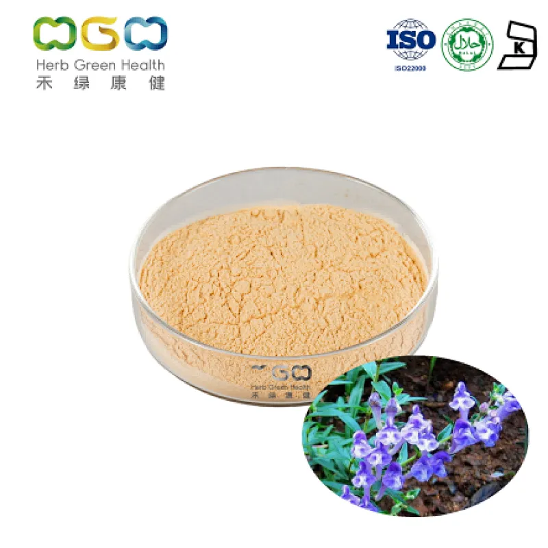 Scullcap Extract