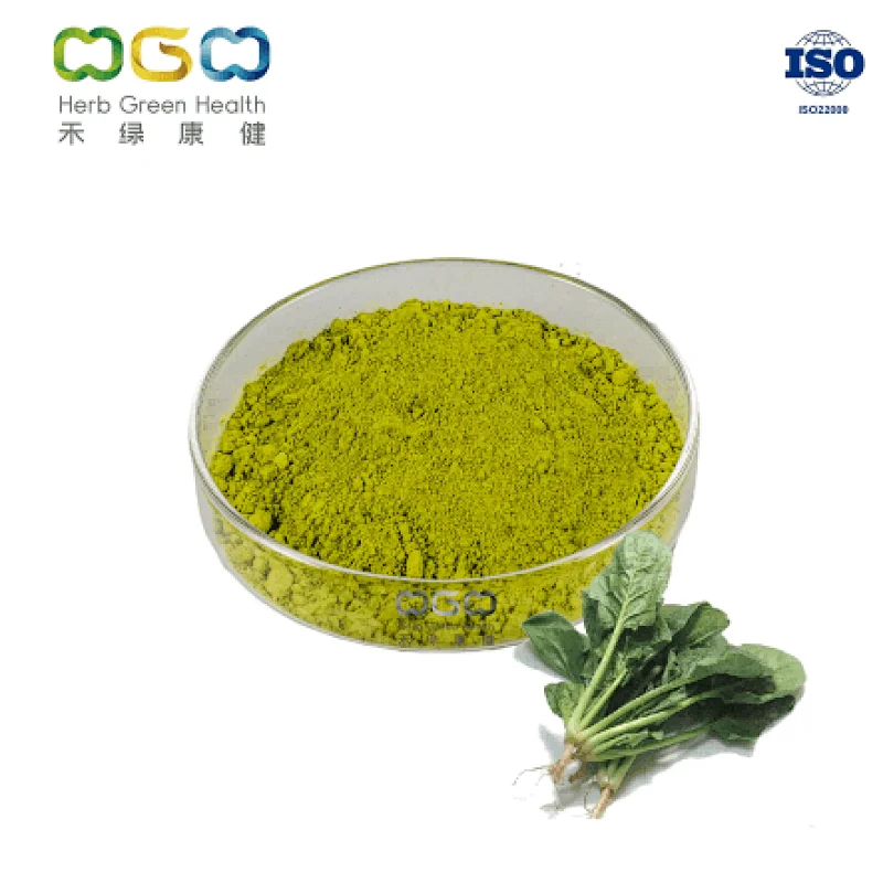 Spinach Powder