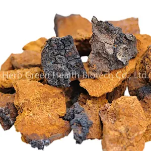 Organic Chaga Mushroom Extract