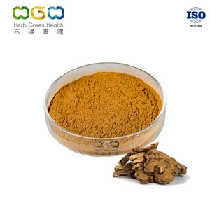 Rhizoma Chuanxiong Extract
