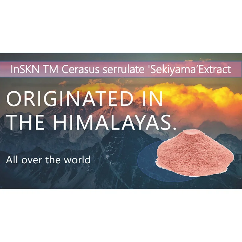 Sakura Extract