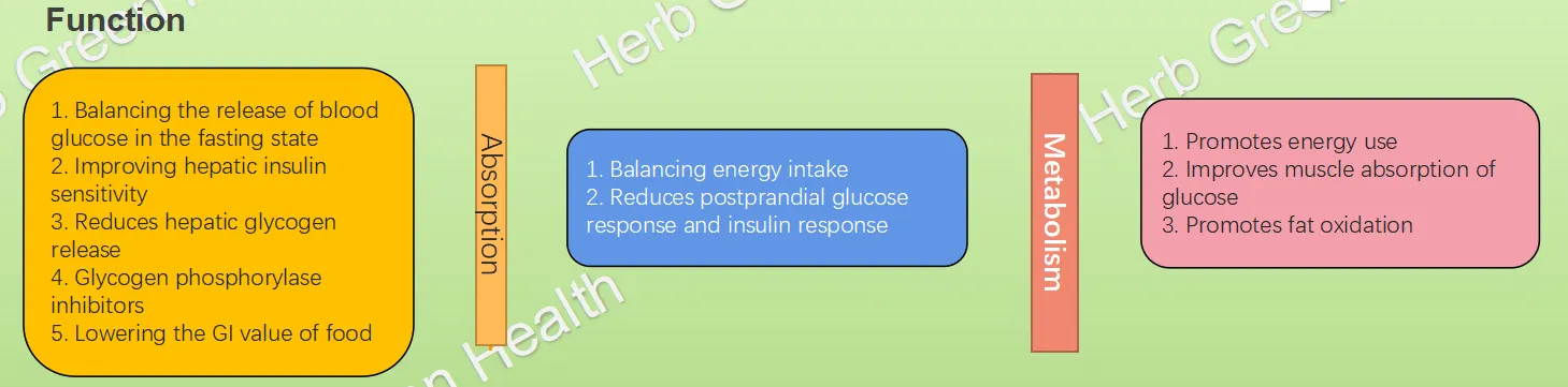 Mulberry Leaf Extract