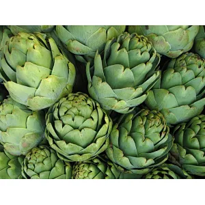 Artichoke Powder