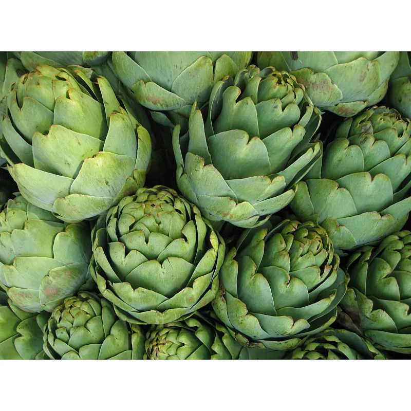 Artichoke Powder