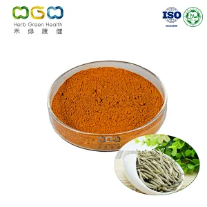 Instant White Tea Powder,instant white tea powder manufacturer,chinese instant white tea powder manufacturer,Instant White Tea Powder supplier,buy Instant White Tea Powder,white pine needle tea,silver needle white tea,chinese white tea
