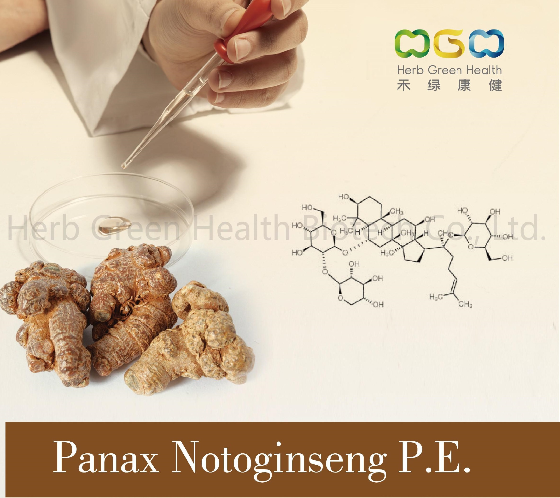 Panax Notoginseng Extract