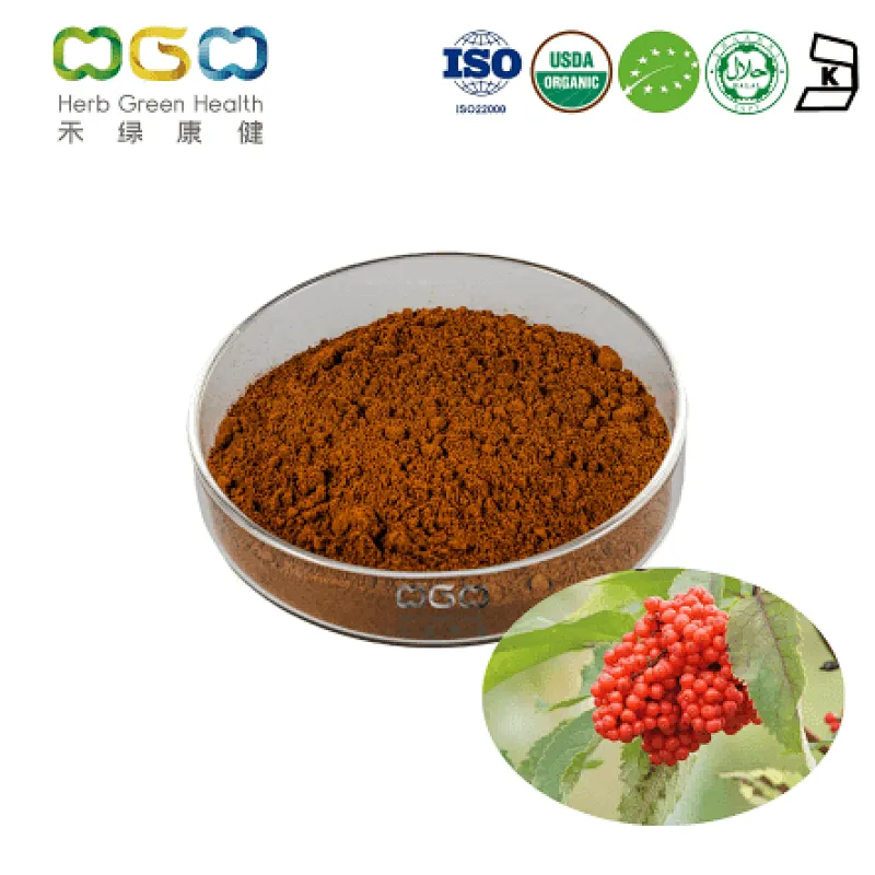 Organic Schisandra Berry Powder