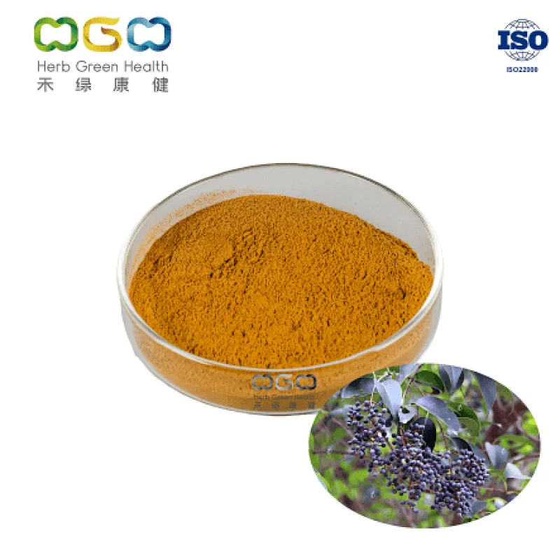 Glossy Privet Fruit Extract