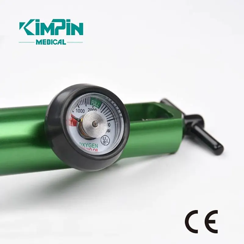 American Type CGA Standard Medical Oxygen Pressure Click Regulator CGA 870