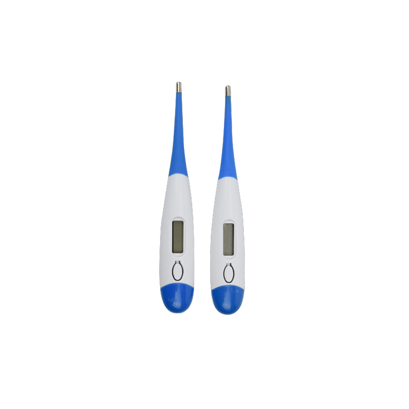 Oral Thermometer