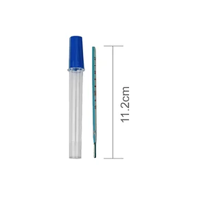 Clinical Thermometer Oral Use