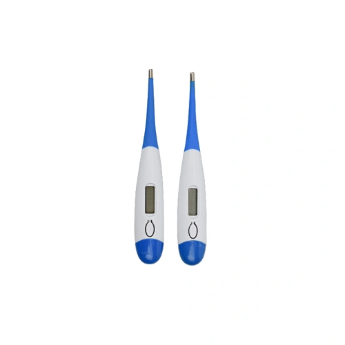 Oral Thermometer