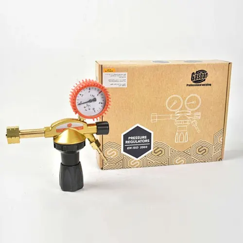 Hot Sale LPG Gas Pressure Regulator