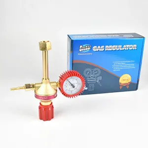LR-164 LPG Gas Regulator