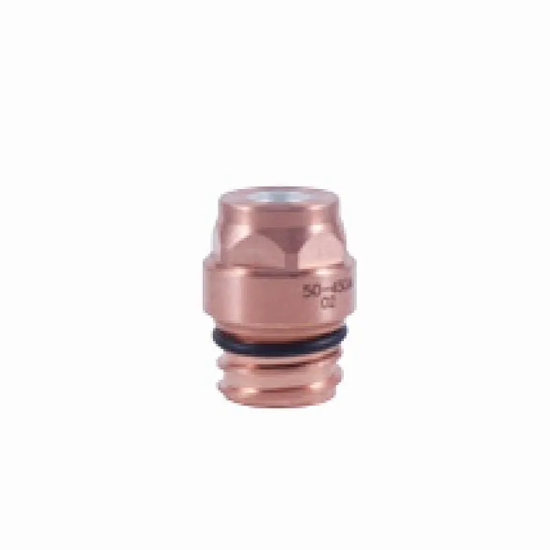 PT-36 Electrode