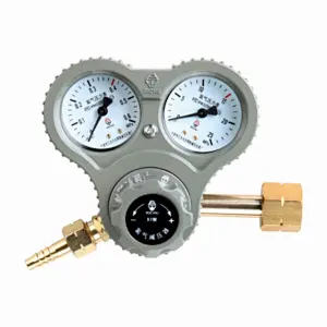 RICHU Patent Owned Professional Argon/CO2 MIG TIG Gas Regulator 97 Series