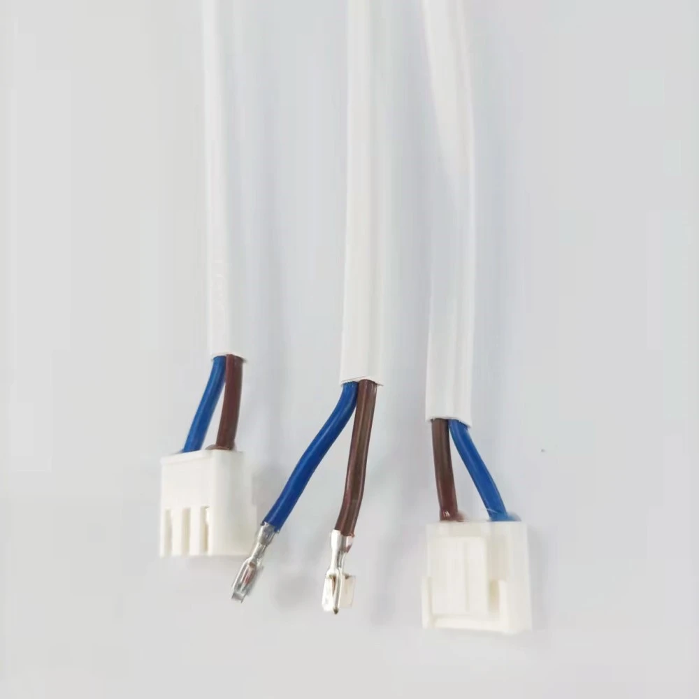 2 Prong Extension Cord
