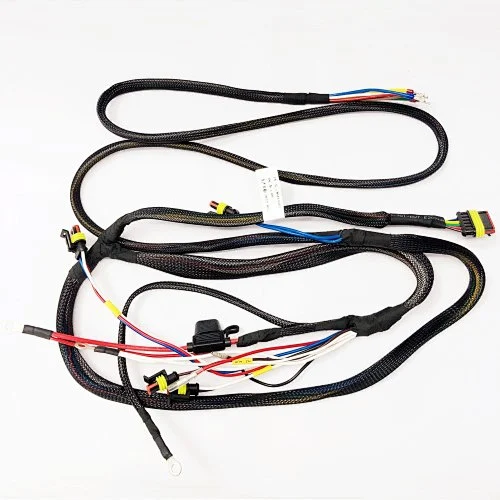 Custom Car Wire Harness Factory Manufacturing Auto Wire Loom Harness